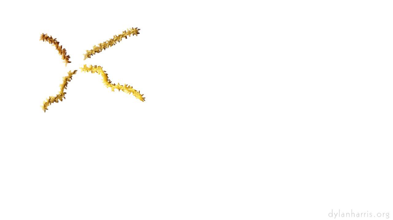 image: examples :: bexiertst1