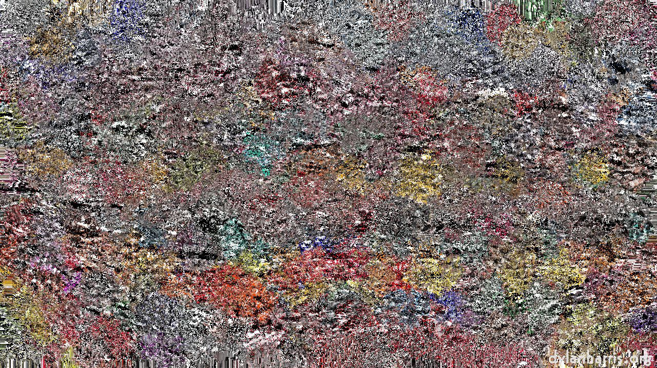 Image: frothy :: superfrothy1