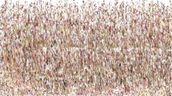 Image: image from frothy