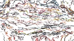 image: image from lighting paints