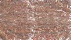 image: 3.0 collection thumbnail