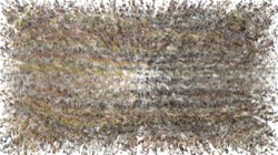 image: image from liquid cloners