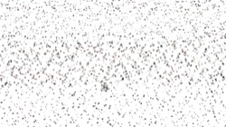 image: image from liquid cloners