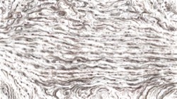 image: image from liquid cloners