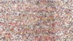 image: image from liquid cloners