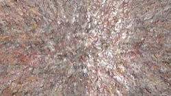 image: 3.0 collection thumbnail