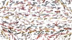 image: image from liquids