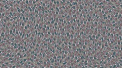 image: image from live video paint