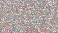 image: image from msg paint 1