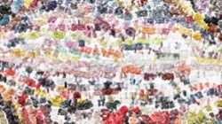 image: image from oils wet