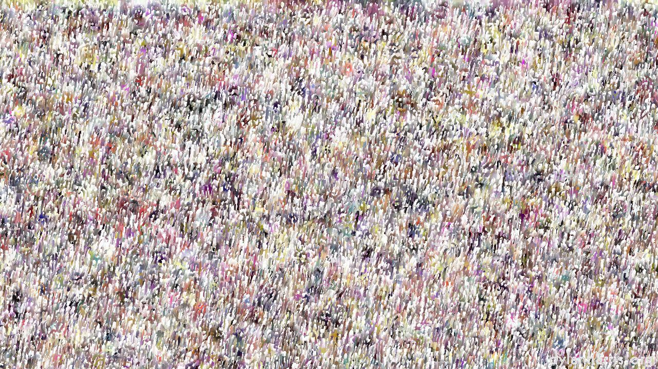 image: particles :: wet1b