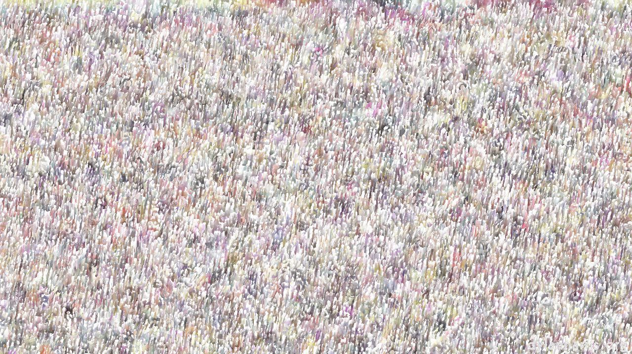 image: particles :: wet2b