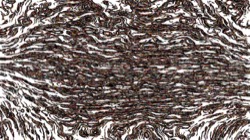 image: image from particles