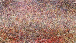 image: image from pattern effects