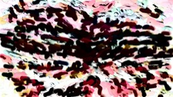 radical :: colourbuildup1