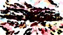 radical :: colourbuildup2