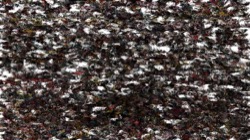 radical :: glistening1