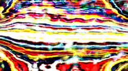 radical :: nuclearwinter1