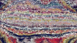 radical :: patchyhardcolour1