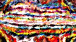 radical :: qualudebrush1