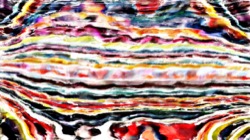 image: image from regions auto drawn