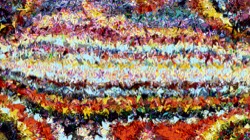 image: image from regions auto drawn