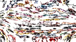 image: image from regions auto drawn