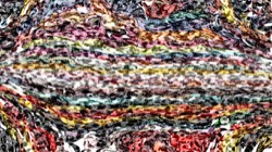 image: image from regions auto drawn