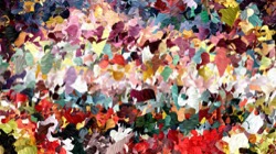 image: image from regions auto drawn