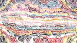 image: image from regions auto drawn