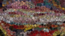 image: image from regions mutual drawn