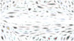 image: image from regions mutual drawn