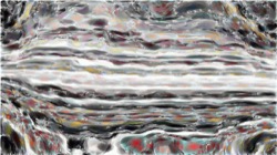 image: image from regions mutual drawn