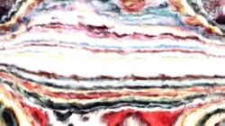 image: image from source cloners