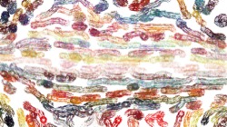 image: image from source cloners