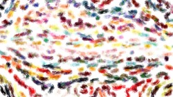 image: image from source cloners