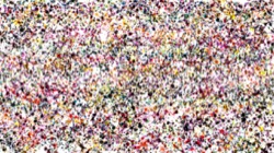 image: image from sprays