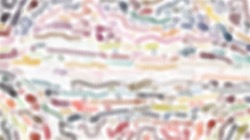 Image: image from vibrant