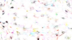 Image: image from vibrant