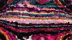 Image: image from vibrant