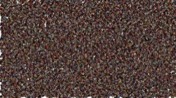 image: image from wet