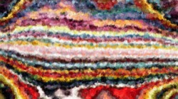 image: image from wet