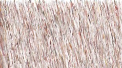 image: image from wet