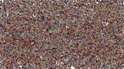 image: image from wet