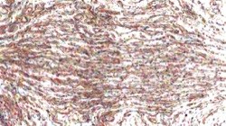 image: image from wet