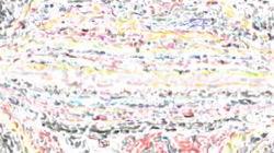 image: image from wet