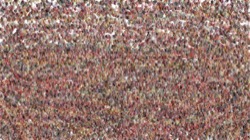 image: image from wet 1