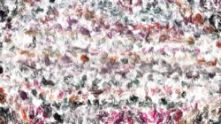 image: image from wet 1