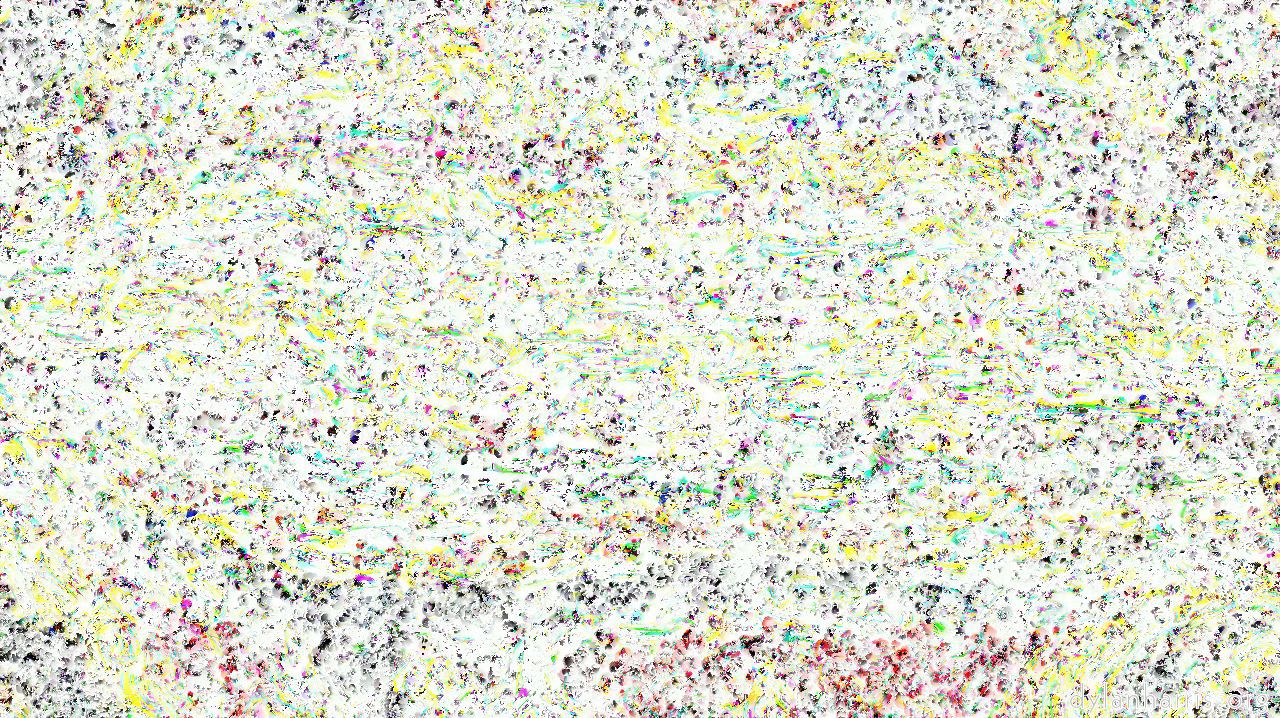 Image: wild ones :: flatdropout1