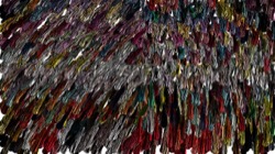 image: image from wild ones